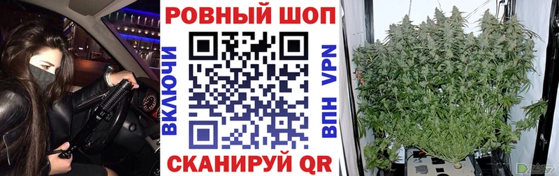 Наркошоп купить Cocaine  Альфа ПВП  МЕФ  ГАШ  Марихуана  Реутов