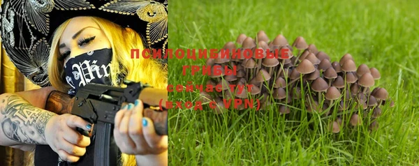 спиды Покровск